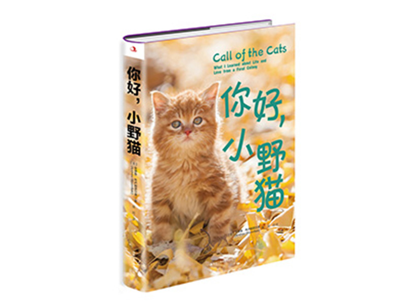 个人自费出书需要满足什么条件？